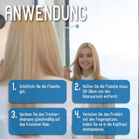 HEALTHY.LIFE VIENNA Blizzard Ice Spray Dry Shampoo 200ml - HauptSacheShop