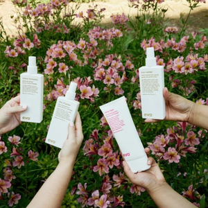 Evo Heat Styling Hair Products