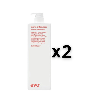 Evo Set 2x Mane Attention Protein Treatment 1000ml