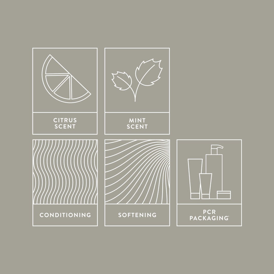 Mitch Double Hitter 2 - in - 1 Shampoo & Conditioner - HauptSacheShop